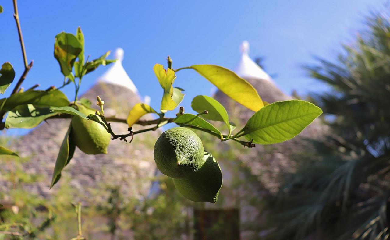 Trulli And Nature Antonelli المظهر الخارجي الصورة