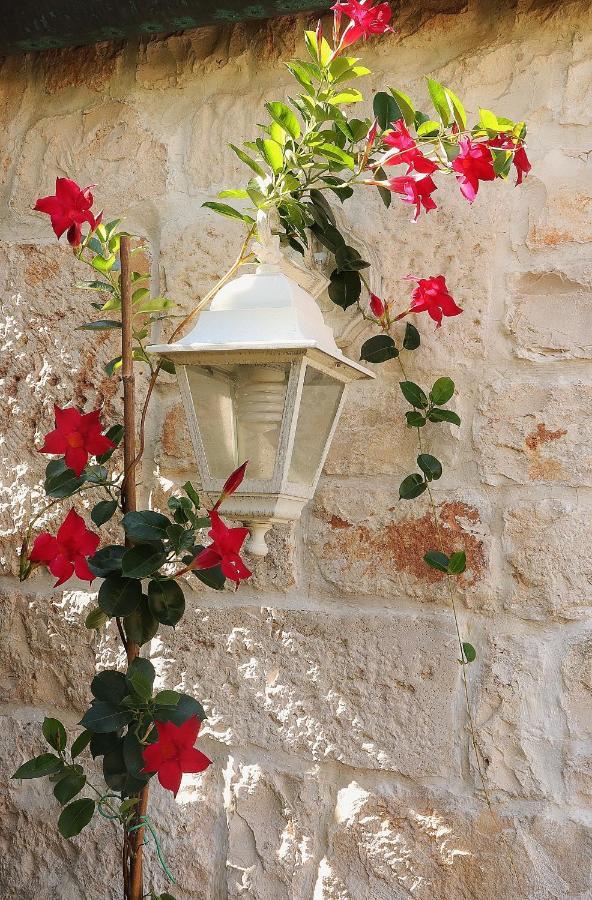 Trulli And Nature Antonelli المظهر الخارجي الصورة