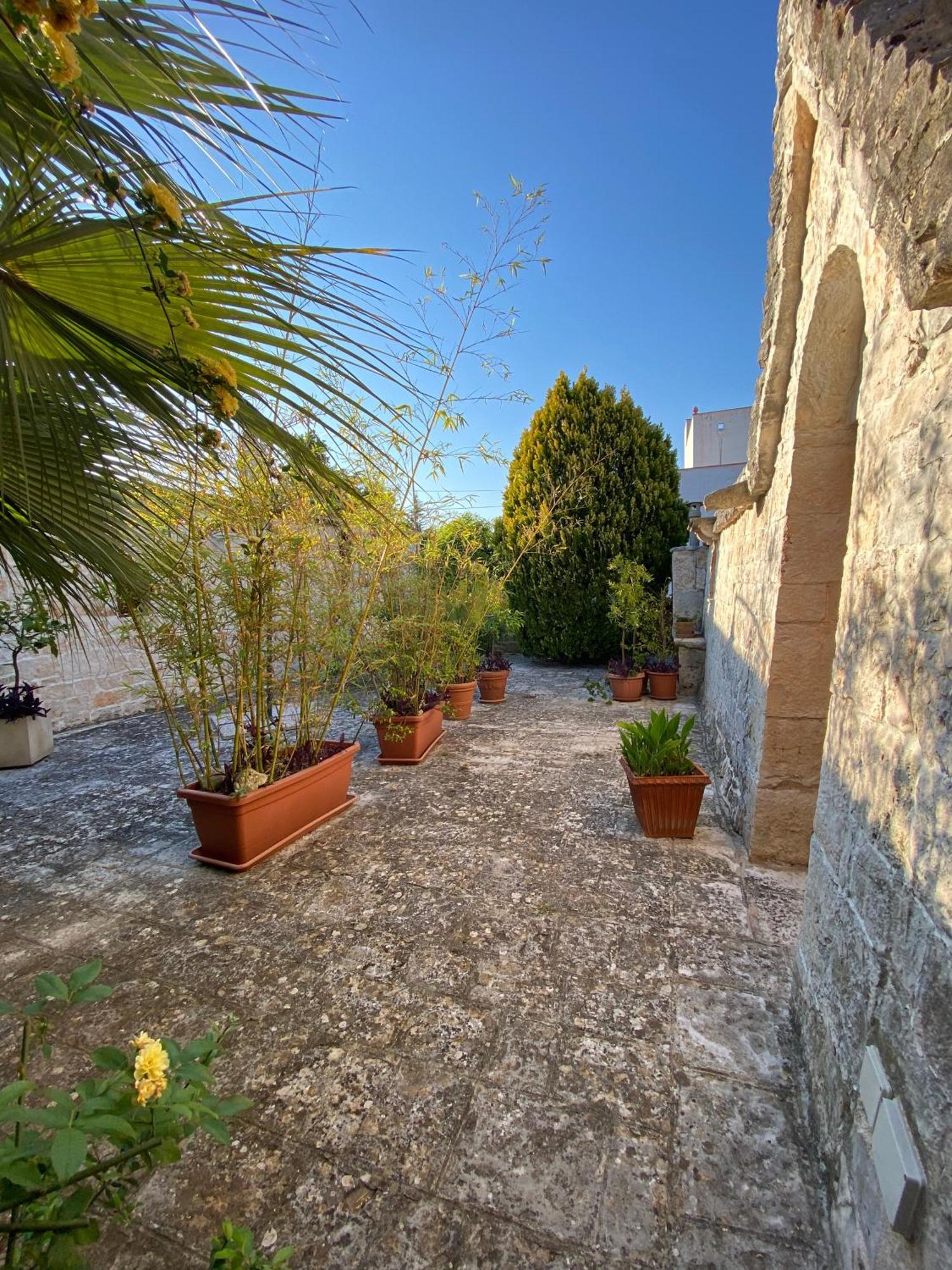 Trulli And Nature Antonelli الغرفة الصورة