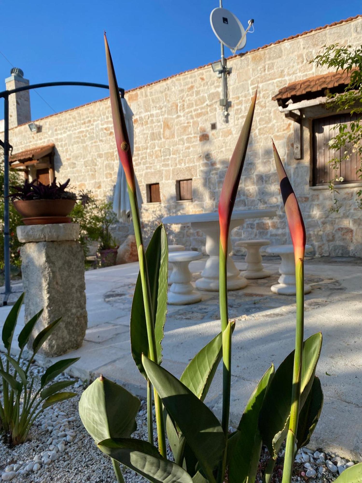 Trulli And Nature Antonelli الغرفة الصورة