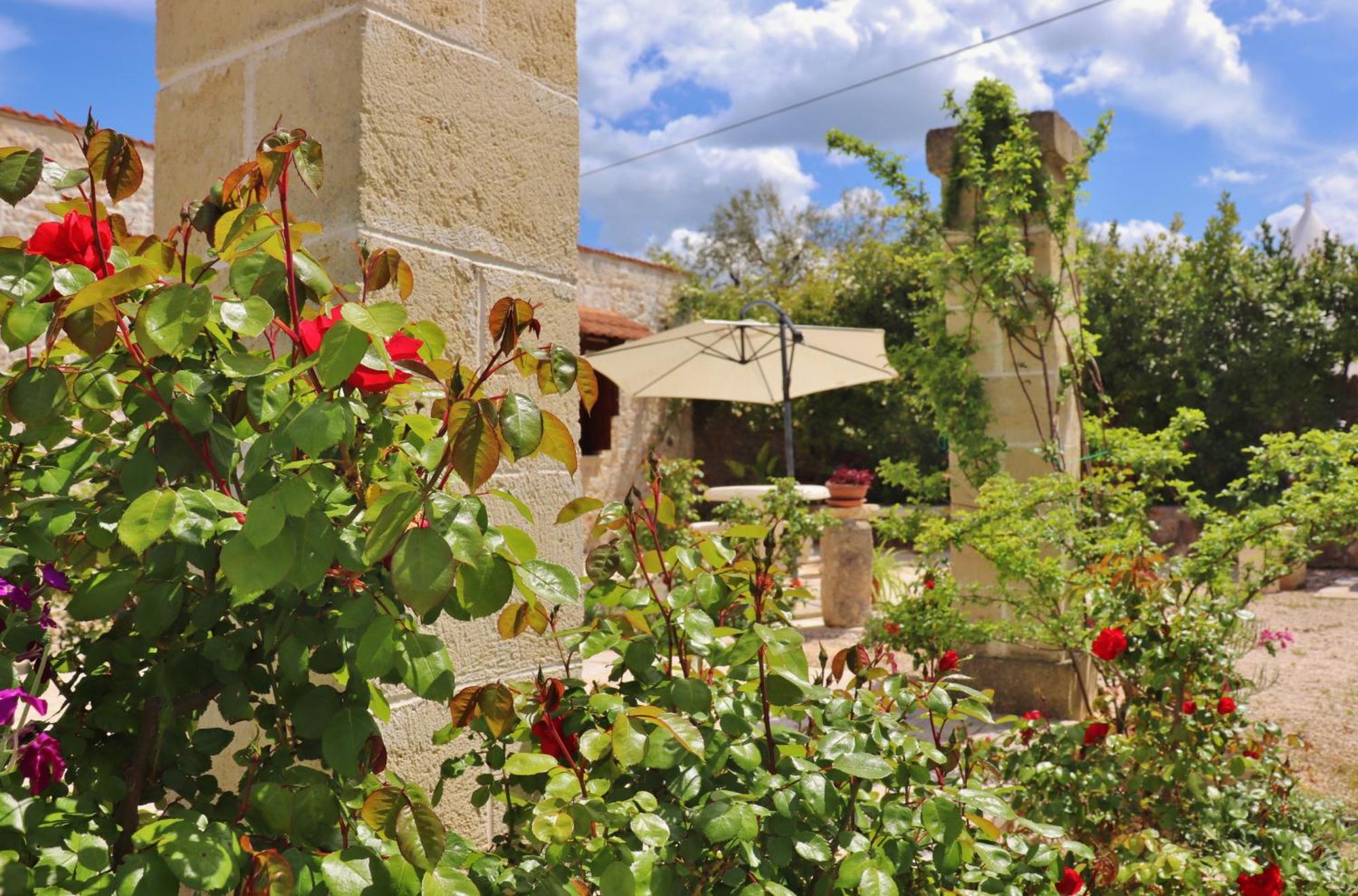 Trulli And Nature Antonelli الغرفة الصورة