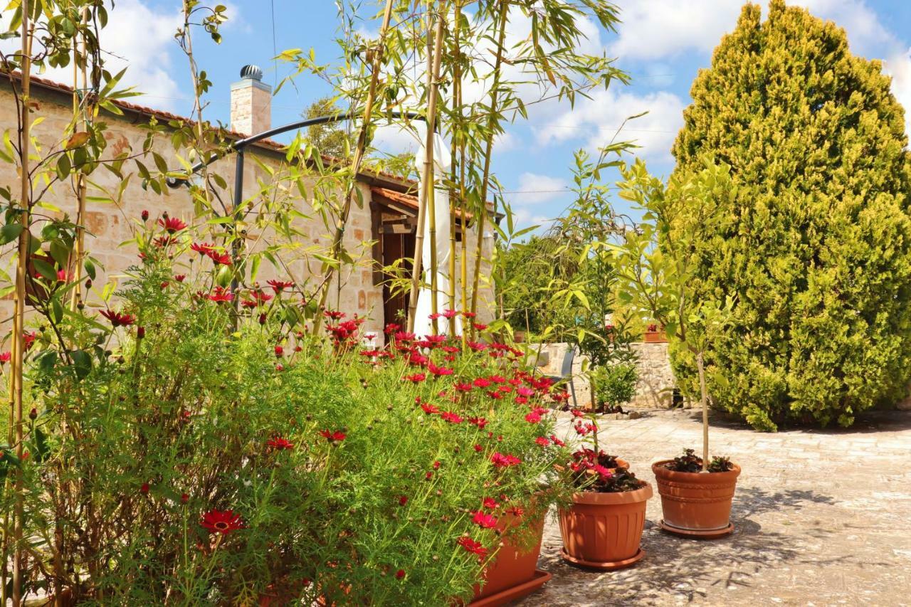 Trulli And Nature Antonelli الغرفة الصورة
