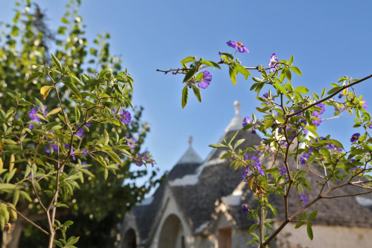 Trulli And Nature Antonelli المظهر الخارجي الصورة