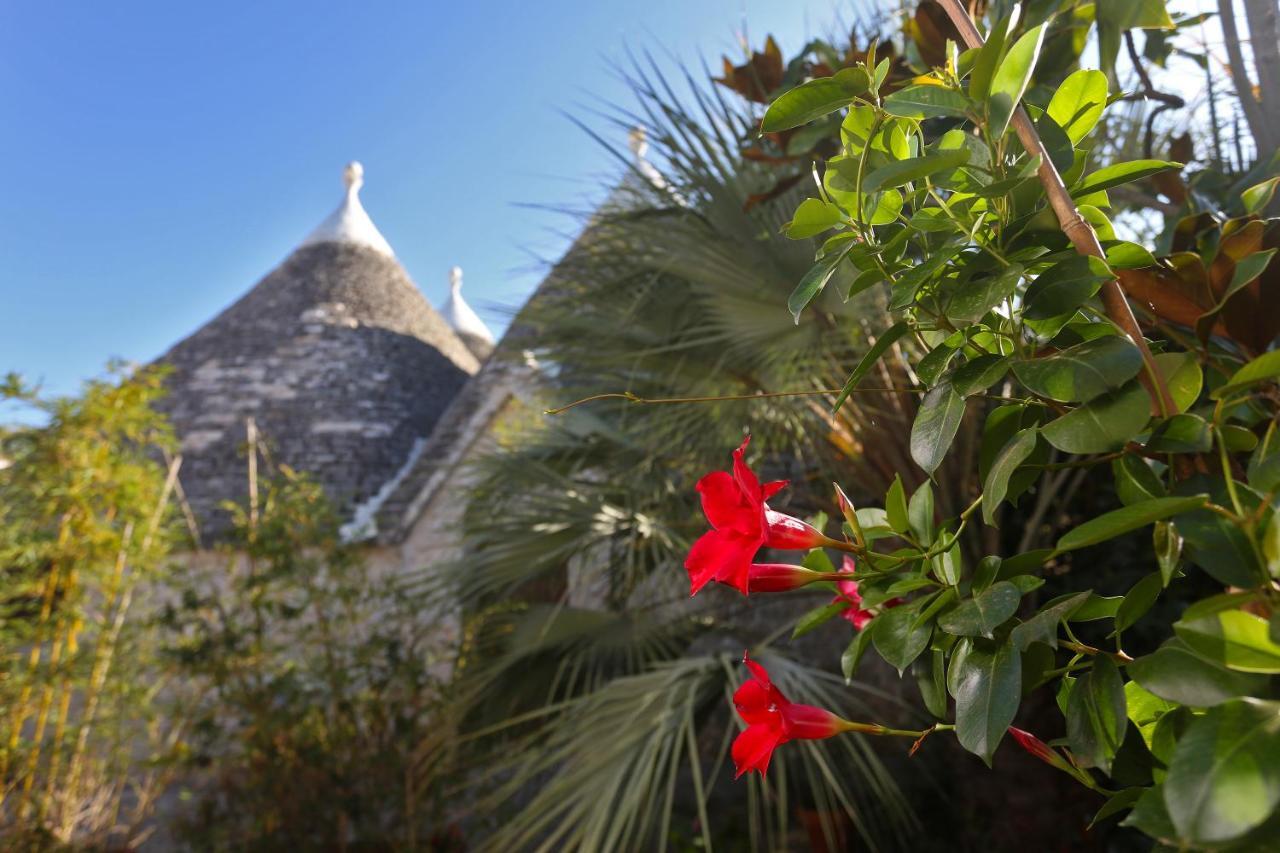 Trulli And Nature Antonelli المظهر الخارجي الصورة